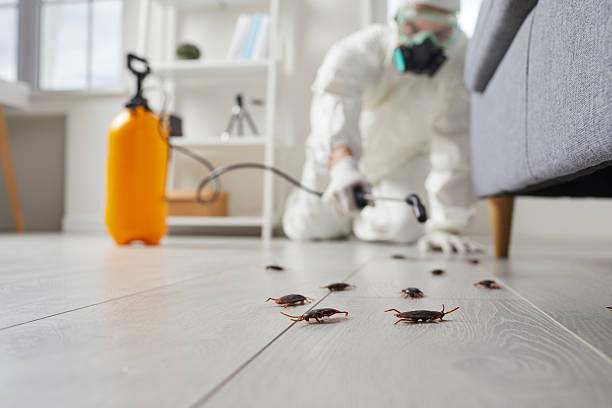 Commercial Kitchen Cockroach Control in Kenly